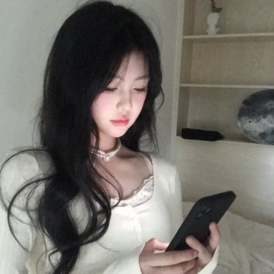 在蓝色时分飞翔